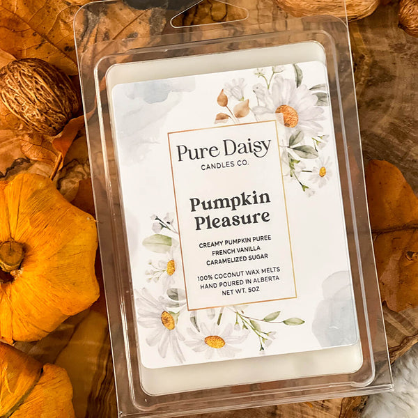 Pumpkin Pleasure Wax Melt